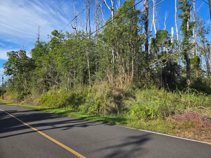 Hibiscus Dr, Pahoa, HI 96778 - #2