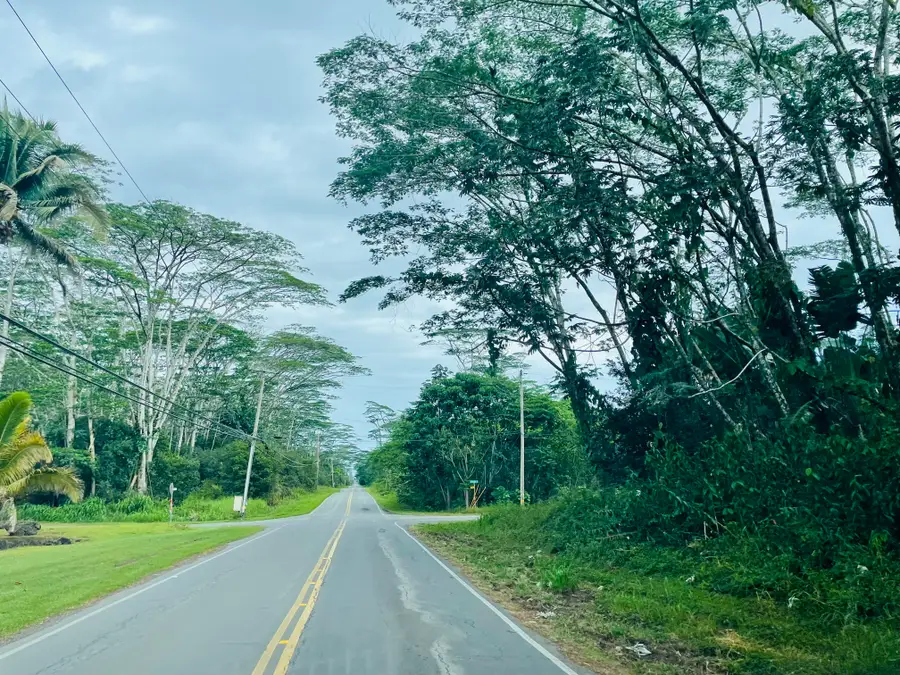 16th Ave, Keaau, HI 96749 - #2