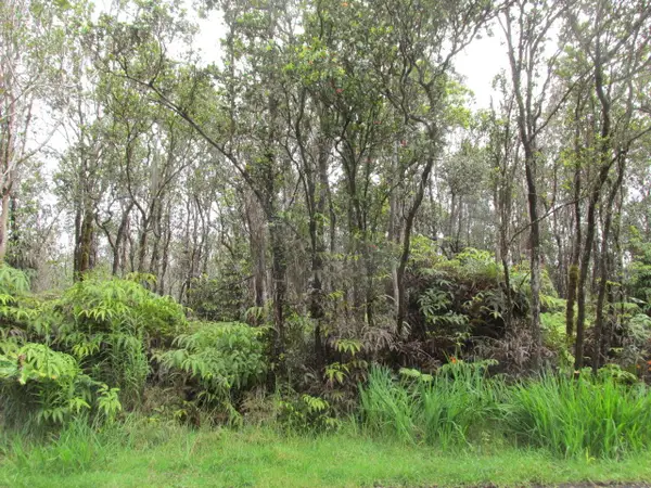 11-3086 Puolani St, Volcano, HI 96785