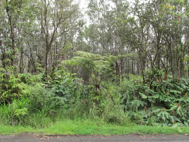 11-3086 Puolani St, Volcano, HI 96785 - #2