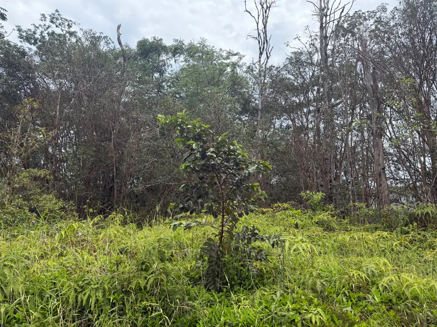 16-2033 Sandalwood Ct, Kurtistown, HI 96760 - #2