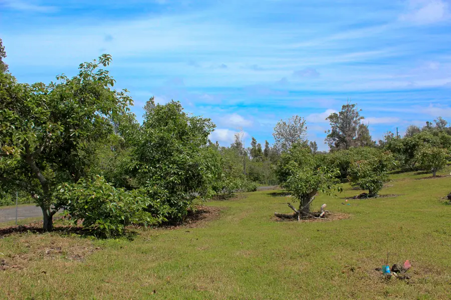 Address Withheld By Seller, Captain Cook, HI 96704 - #2