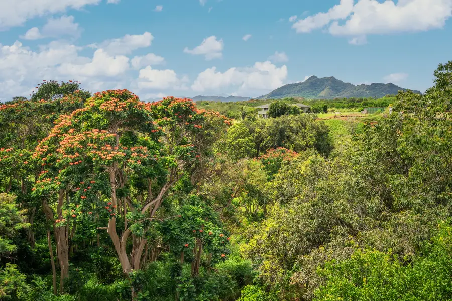 5453 Makaloa St, Kapaa, HI 96746 - #3