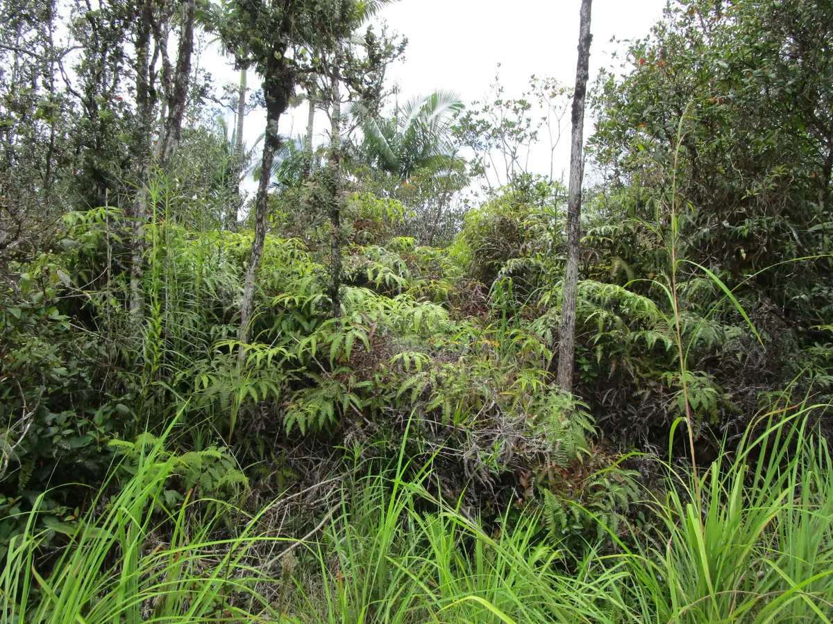 Road 7 (opeapea), Kurtistown, HI 96760 - #1