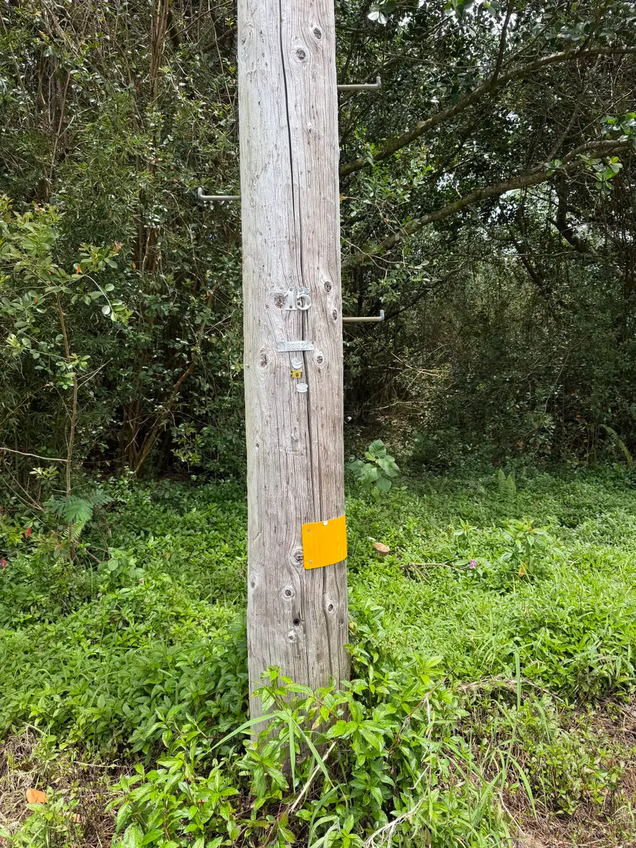 Pohaku Circle, Kurtistown, HI 96760 - #3