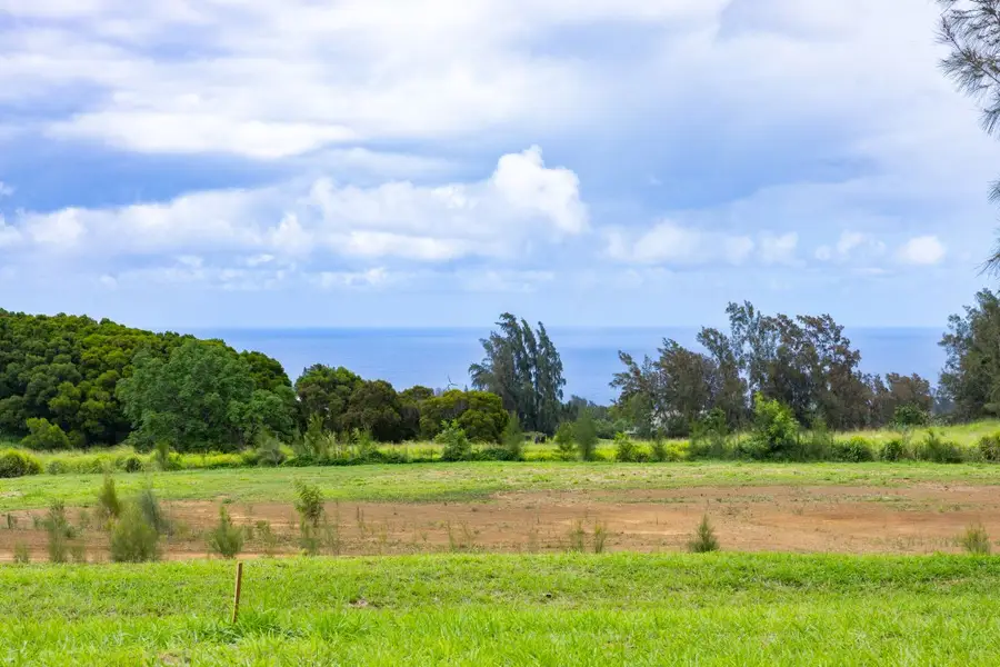54-1749 Paipo Kane Rd, Kapaau, HI 96755 - #2