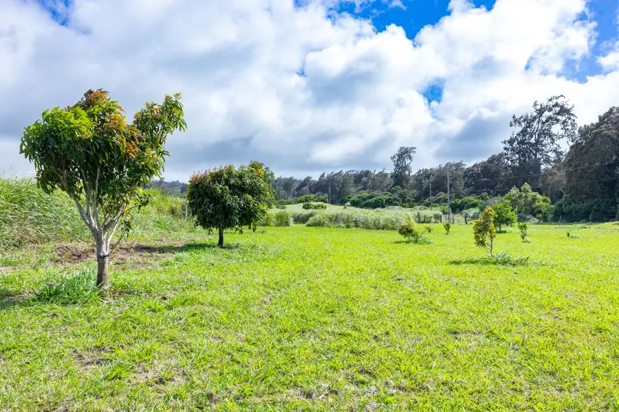 54-1749 Paipo Kane Rd, Kapaau, HI 96755 - #3
