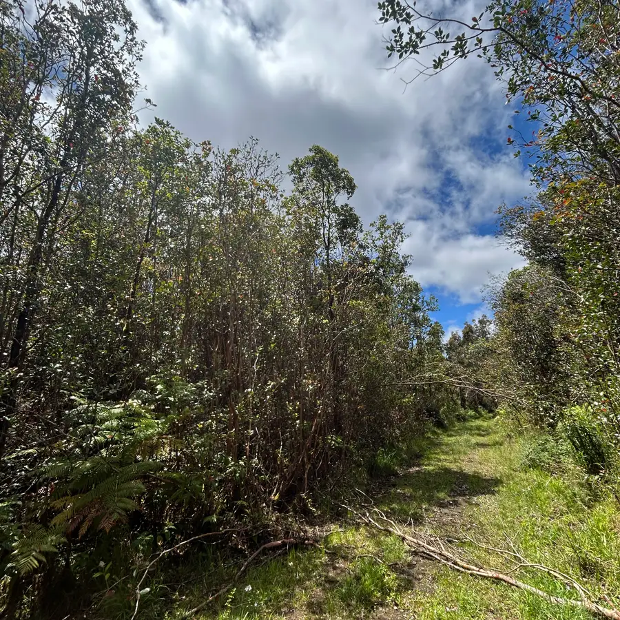 Road 4, Mountain View, HI 96771 - #2