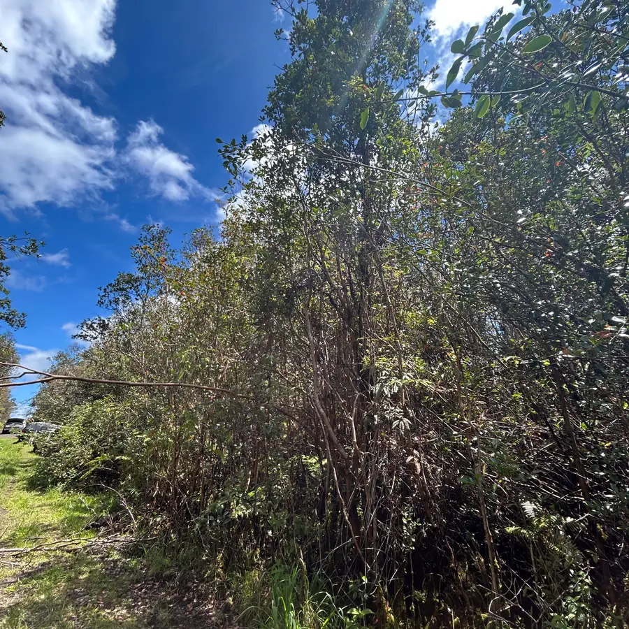 Road 4, Mountain View, HI 96771 - #3