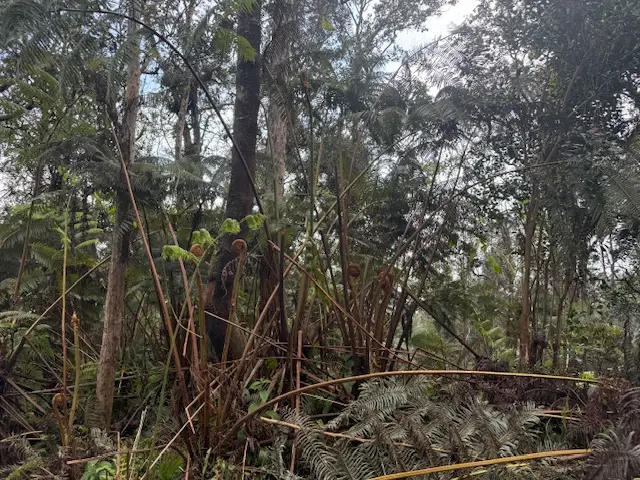 73-1818 Hao St, Kailua Kona, HI 96740 - #3