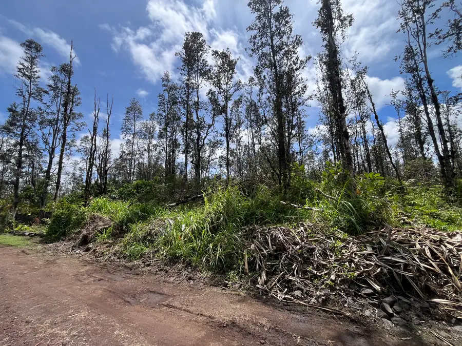 16-2096 Ooaa Rd, Kurtistown, HI 96760 - #3