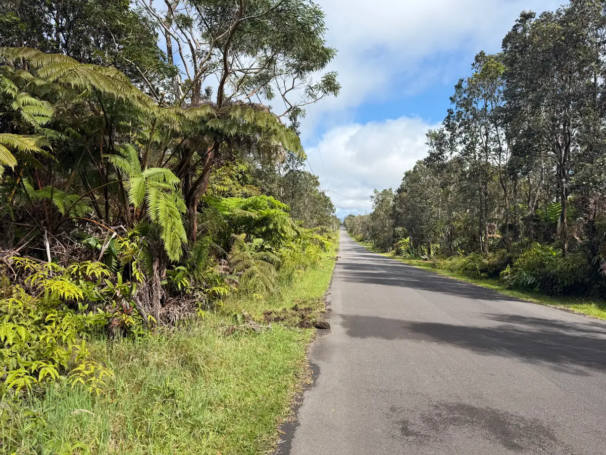 Nahelenani St, Volcano, HI 96785 - #1