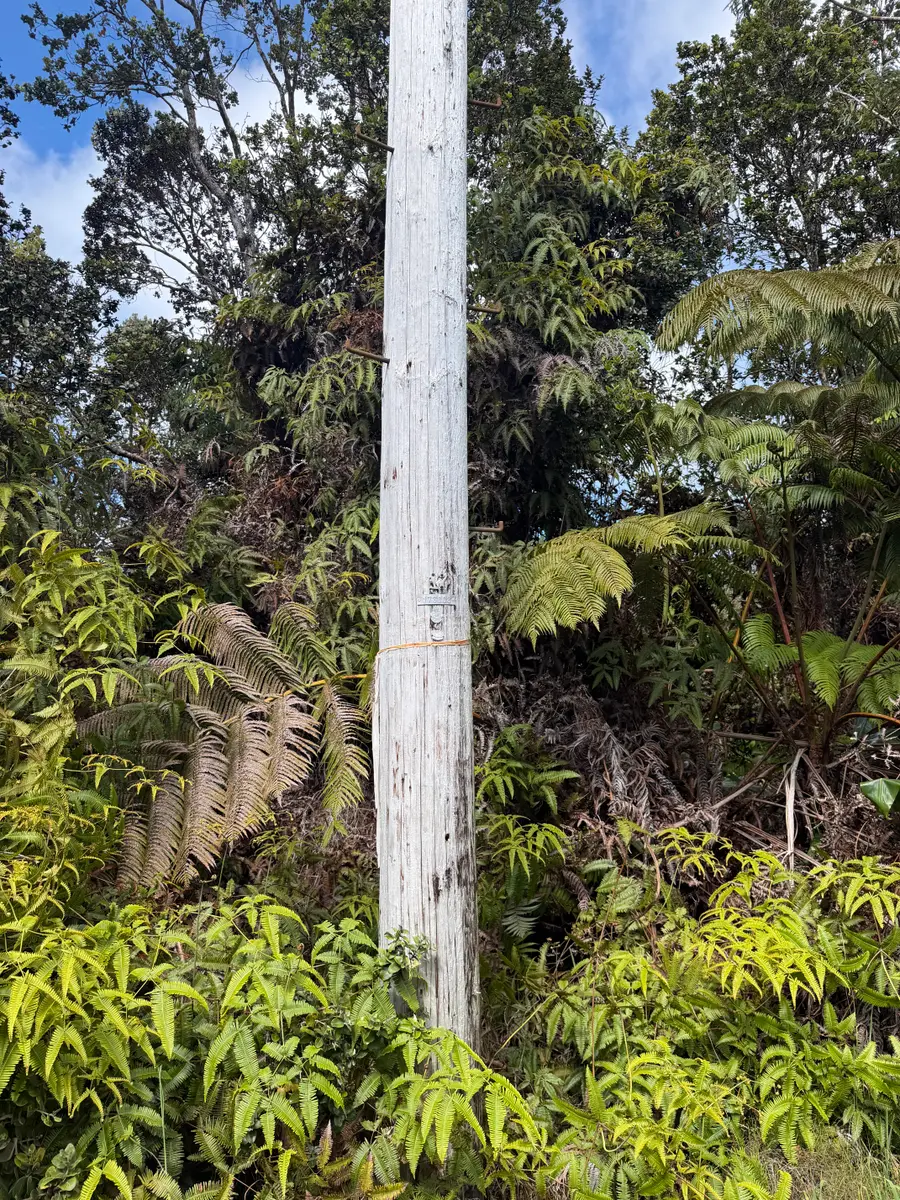 Nahelenani St, Volcano, HI 96785 - #3