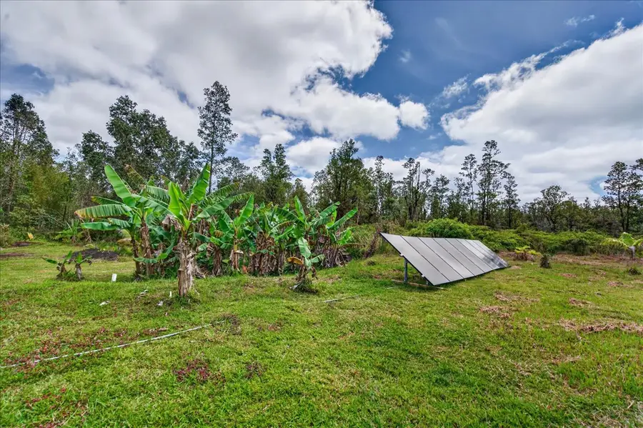 11-1869 Alapua St, Mountain View, HI 96771 - #2