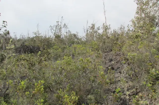 Address Withheld By Seller, Ocean View, HI 96737 - #1