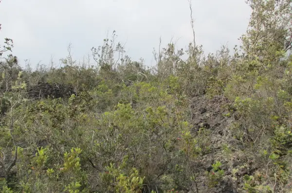 Address Withheld By Seller, Ocean View, HI 96737