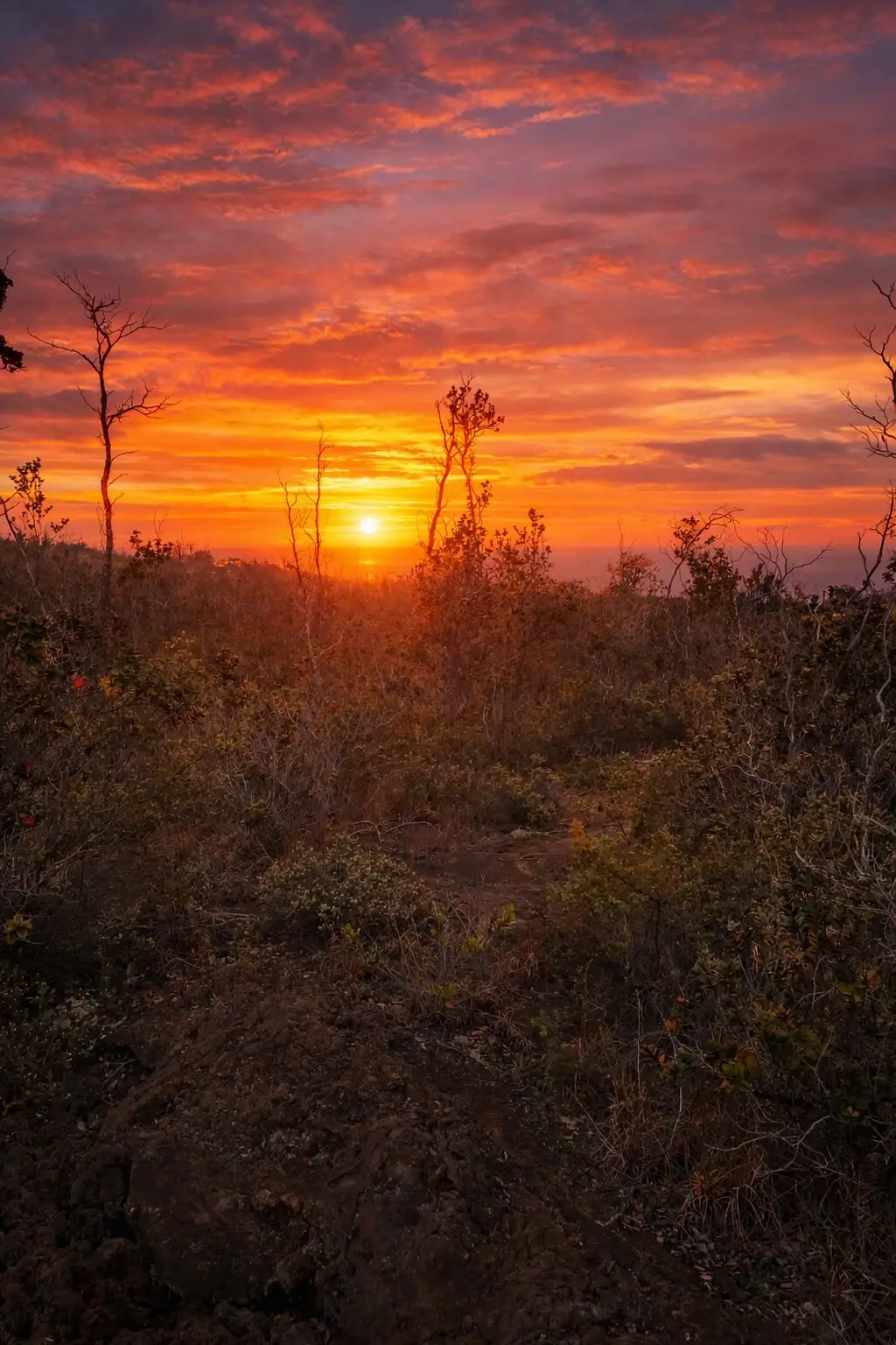 92-2224 Ocean View Pkwy, Ocean View, HI 96737 - #1