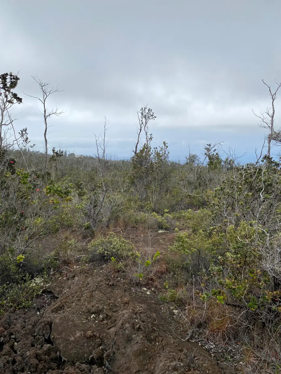 92-2224 Ocean View Pkwy, Ocean View, HI 96737 - #3