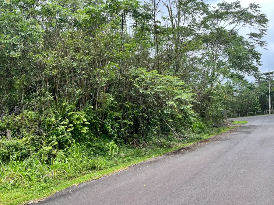Makamae St, Pahoa, HI 96778 - #3