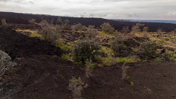 Kona Kai Blvd, Ocean View, HI 96737