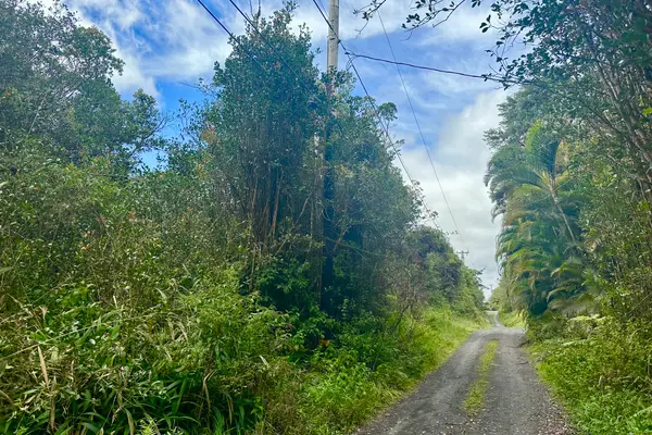 Maunalani Tract Rd, Mountain View, HI 96771