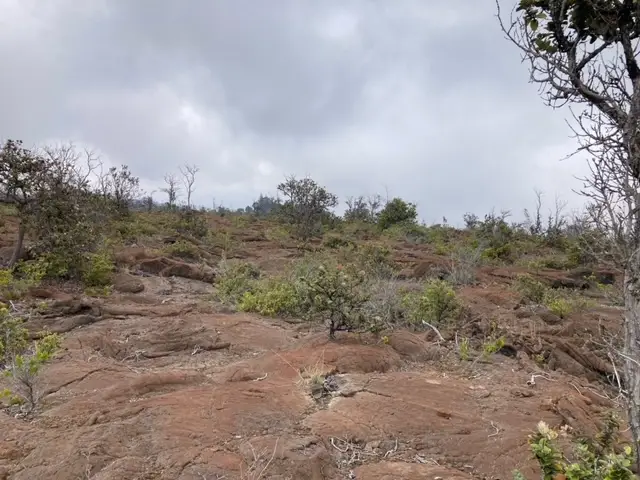 92-2620 Mahimahi Dr, Ocean View, HI 96737 - #2