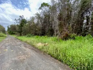 18-2278 Laulea Rd, Mountain View, HI 96771 - #3