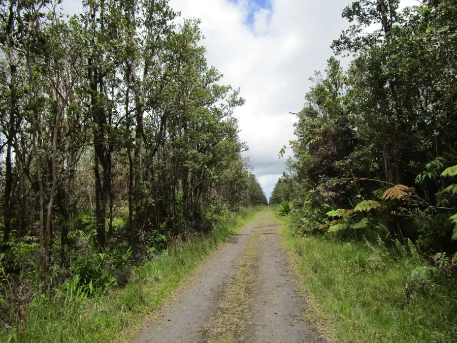 Pilo St, Mountain View, HI 96771 - #3