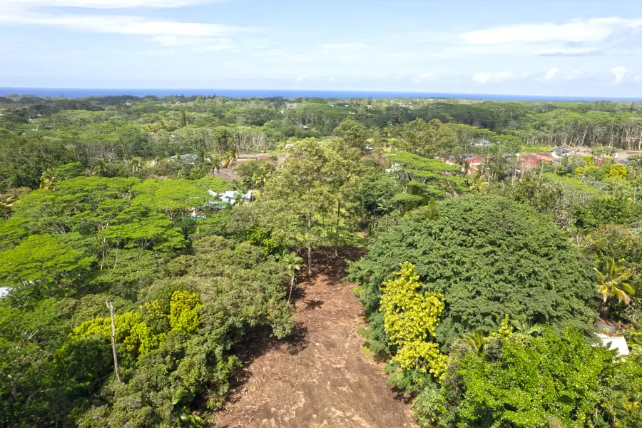 11th Ave, Keaau, HI 96749 - #2