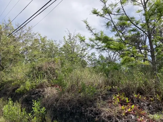 King Kamehameha Blvd, Ocean View, HI 96737 - #2