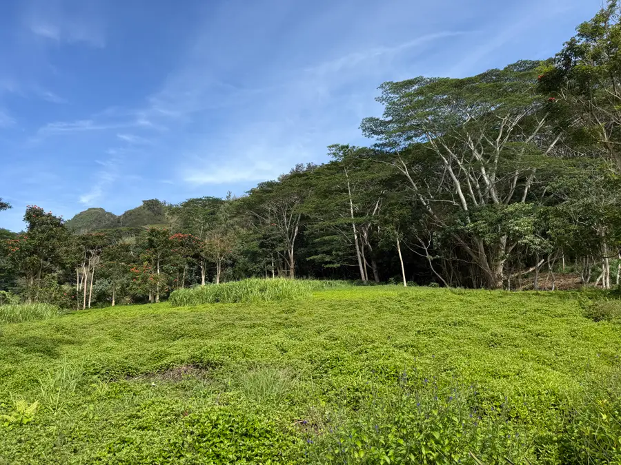 Kamalu Rd, Kapaa, HI 96746 - #2
