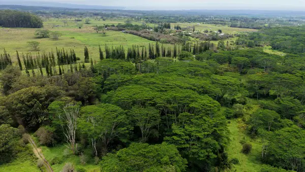 Enos Rd, Mountain View, HI 96771