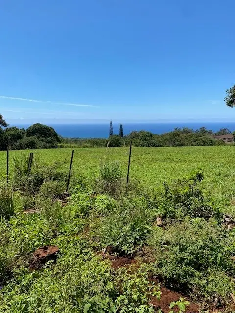 3961 Papalina Rd, Kalaheo, HI 96741 - #1