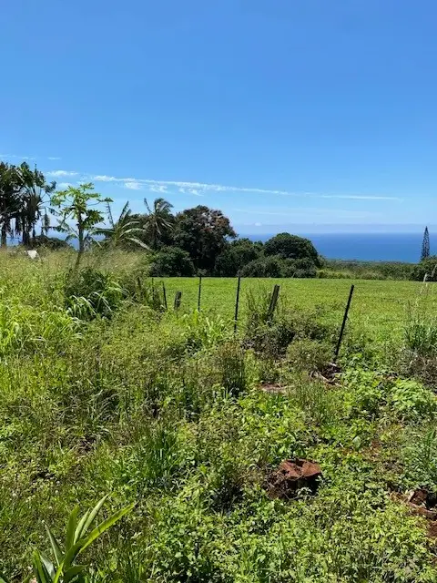 3961 Papalina Rd, Kalaheo, HI 96741 - #2
