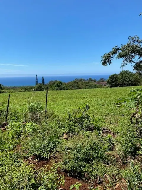 3961 Papalina Rd, Kalaheo, HI 96741 - #3