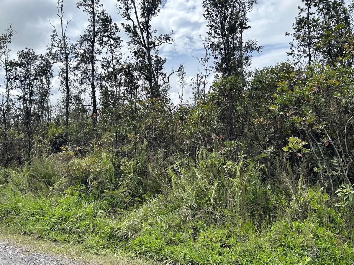 Road 6 (ooaa), Kurtistown, HI 96760 - #1