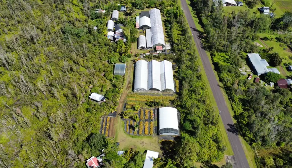 15-1300 Auina St, Pahoa, HI 96778 - #1