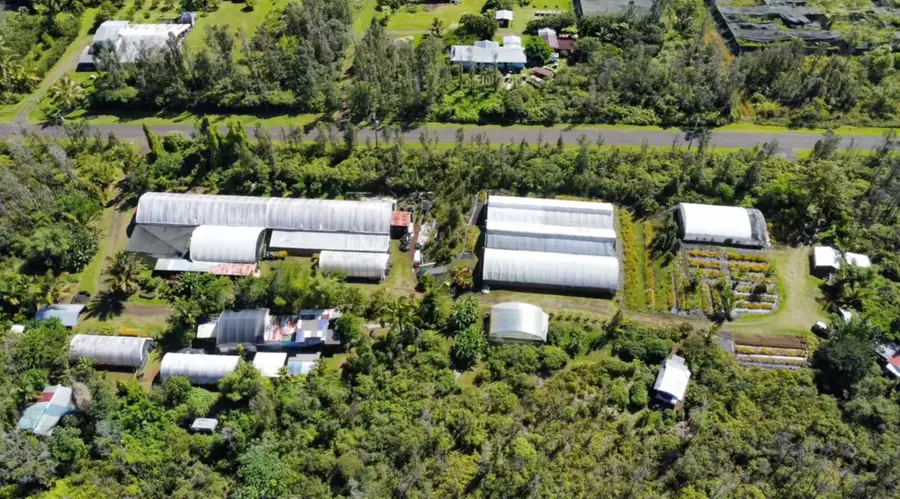 15-1300 Auina St, Pahoa, HI 96778 - #2