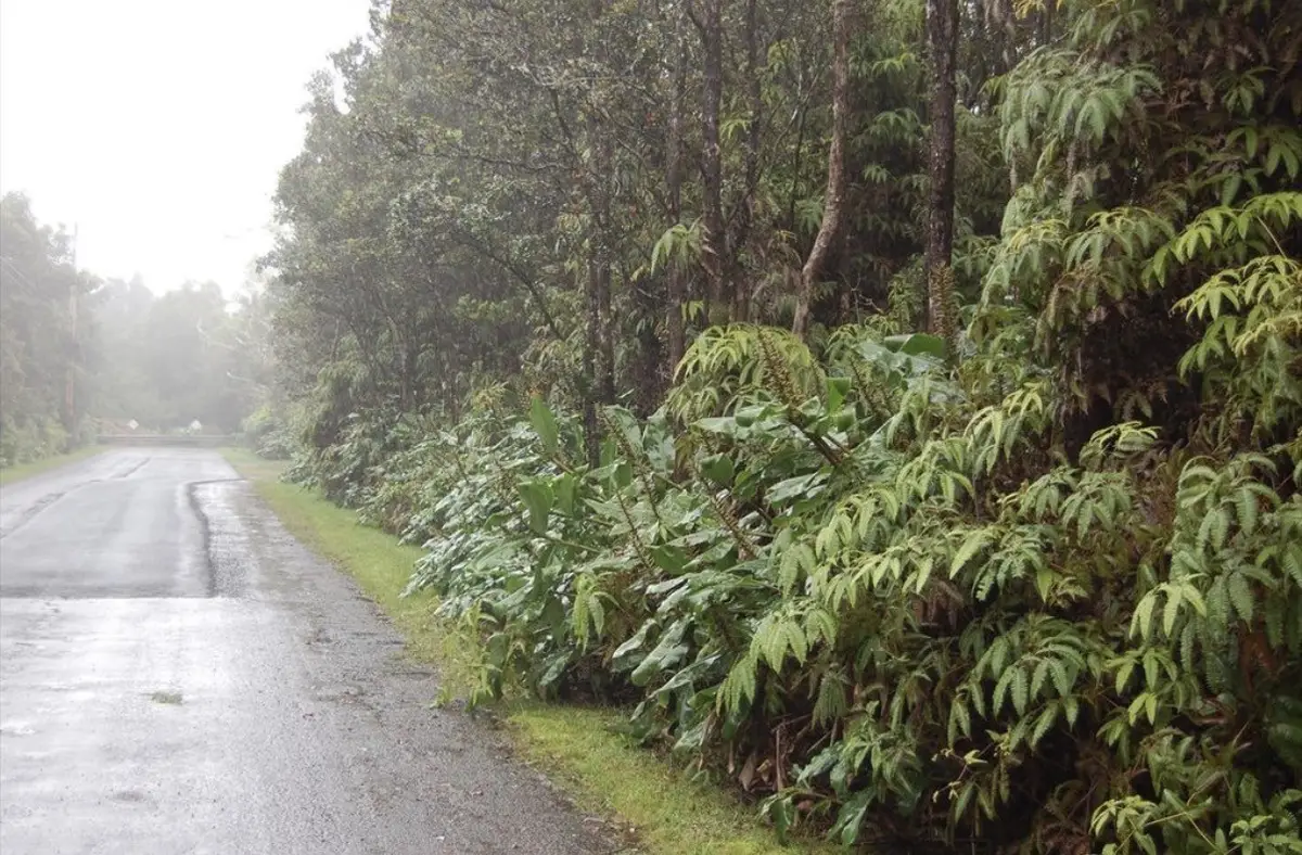 4th St, Volcano, HI 96785 - #1