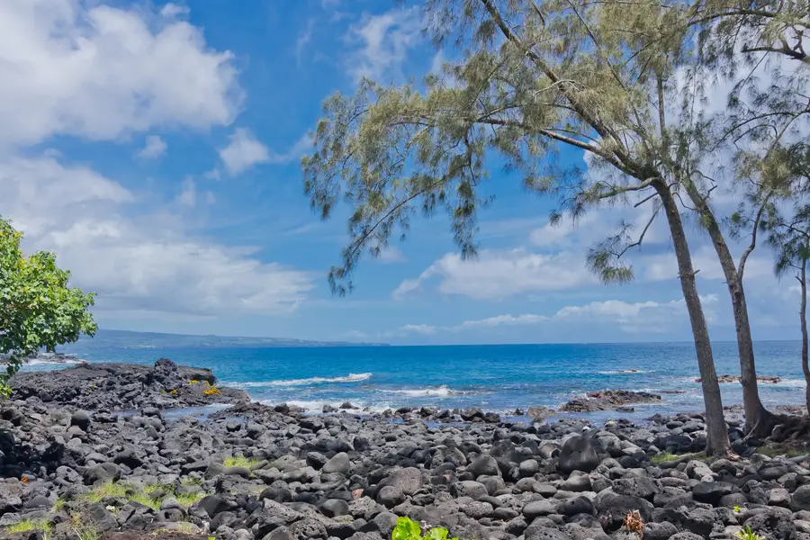 Nene St, Hilo, HI 96720 - #2