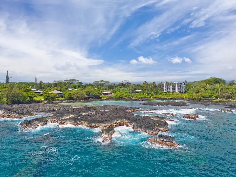 Nene St, Hilo, HI 96720 - #3