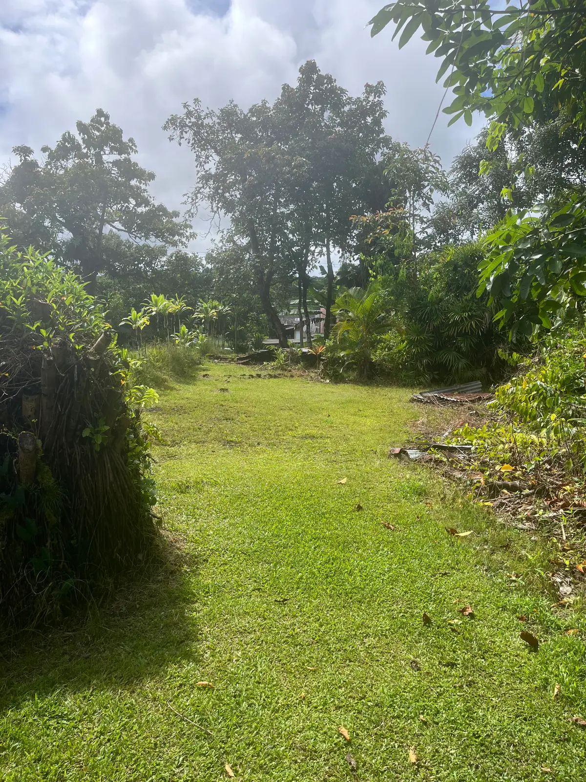 16-629-G Old Volcano Rd, Keaau, HI 96749 - #1