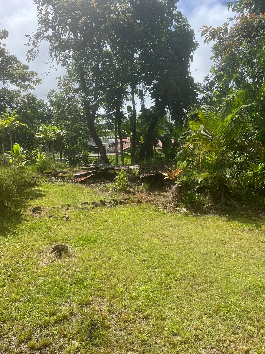 16-629-G Old Volcano Rd, Keaau, HI 96749 - #2