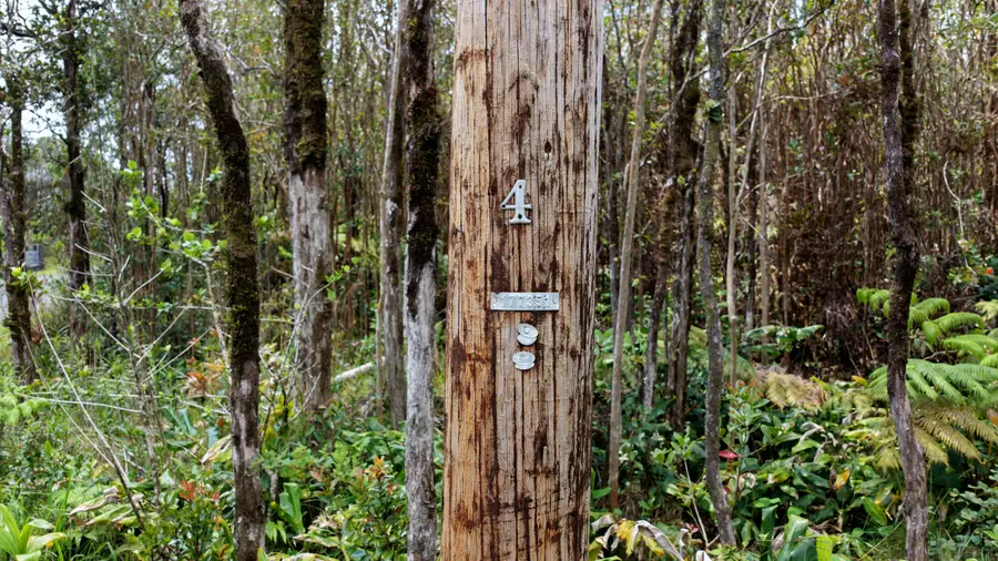 11-3046-A Anuhea St, Volcano, HI 96785 - #2