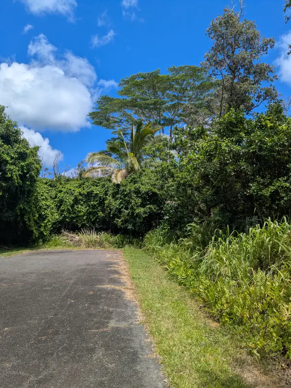 12-7001 Hoeunalu St, Pahoa, HI 96778