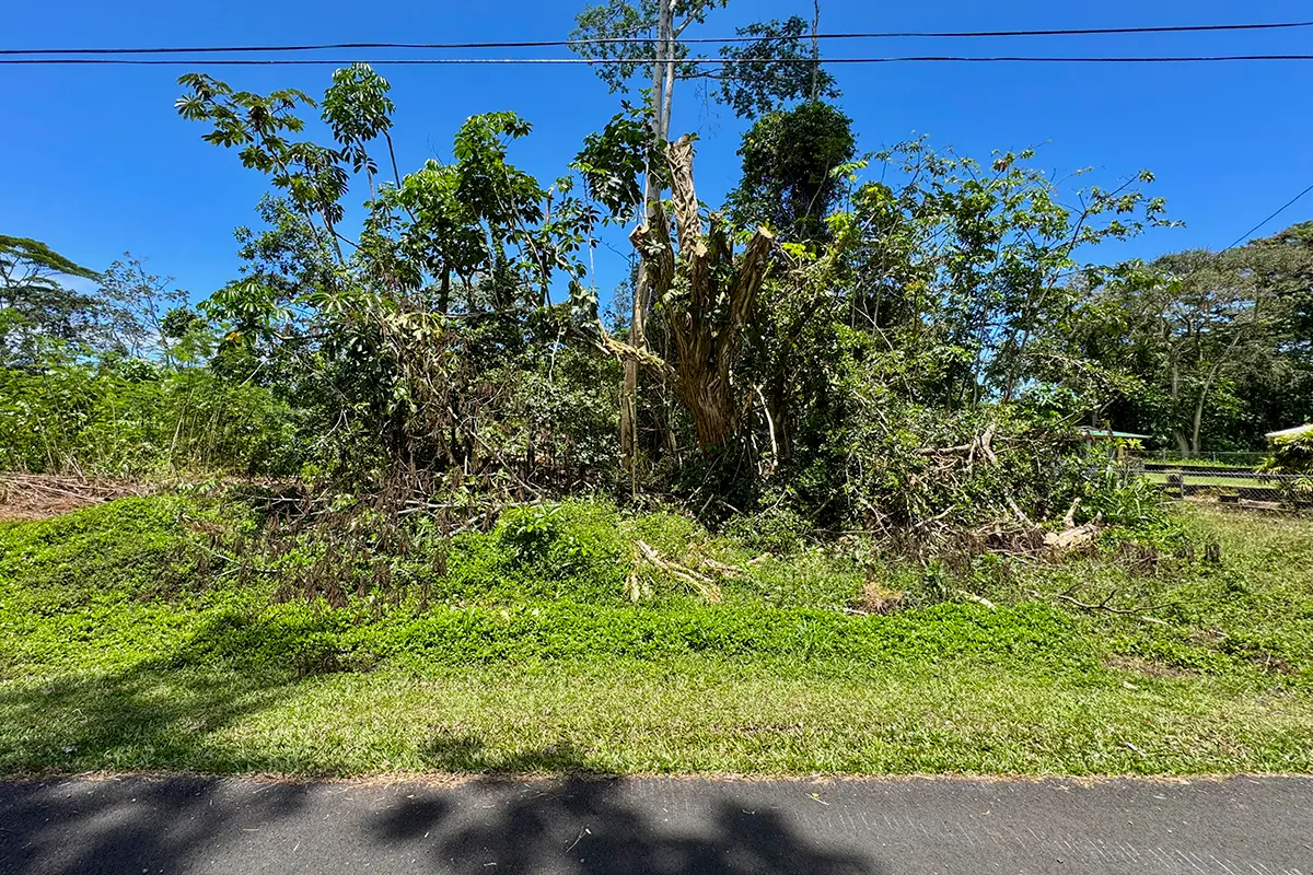 15-2681 Kawakawa St, Pahoa, HI 96778 - #1