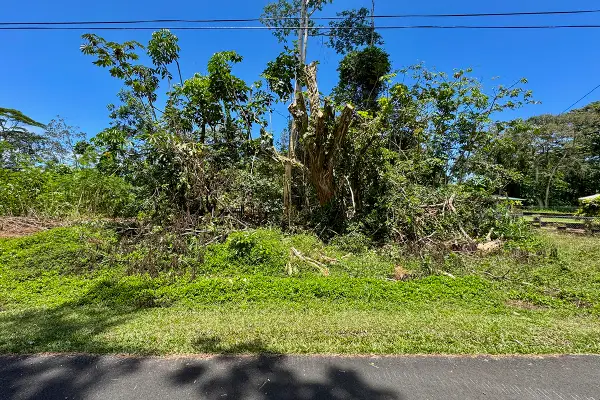 15-2681 Kawakawa St, Pahoa, HI 96778