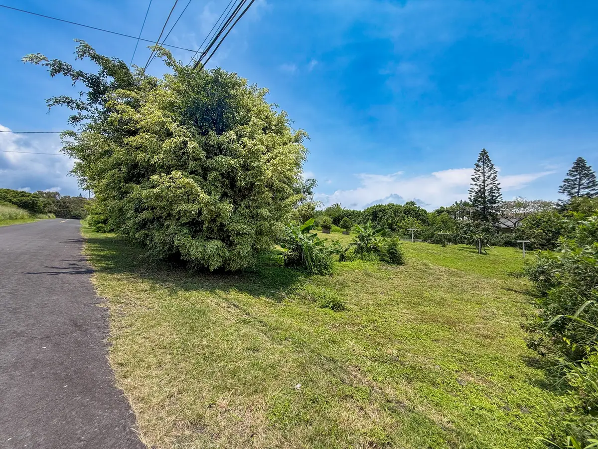 94-1381 Kaulua Circle, Naalehu, HI 96772 - #1