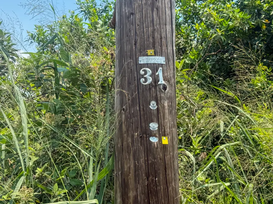 94-1381 Kaulua Circle, Naalehu, HI 96772 - #2