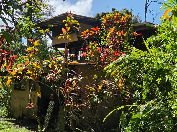 14-4767 Sadileck Rd, Pahoa, HI 96778